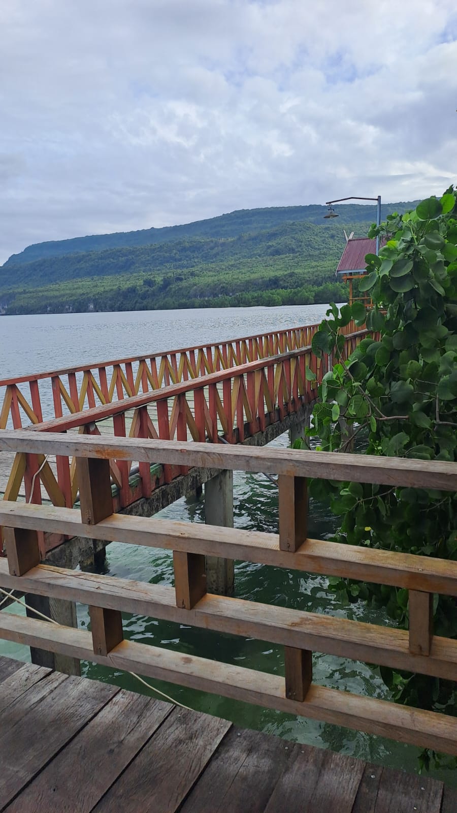 Jalan di wisata mangrove.